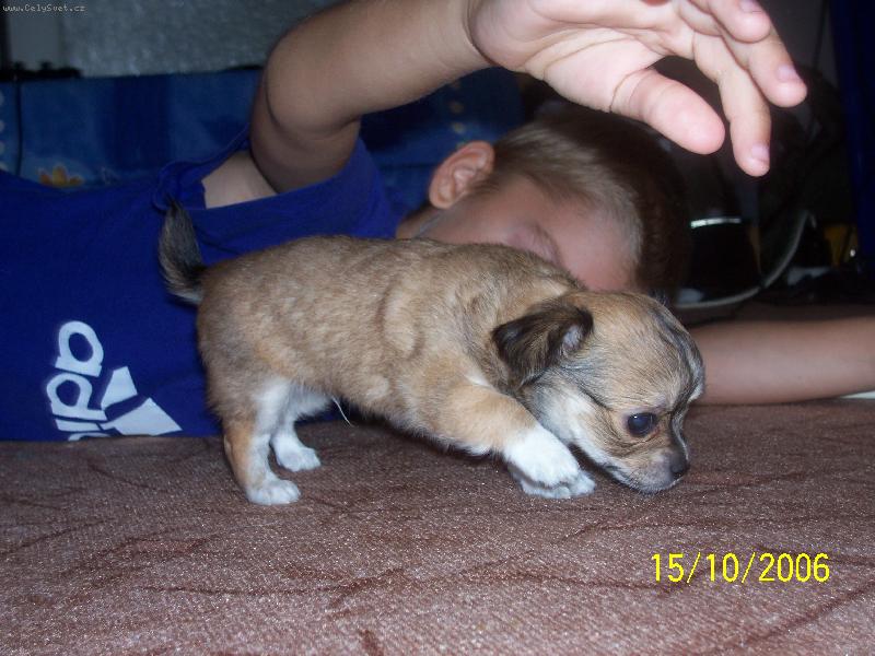 Foto: �ivavi miminko