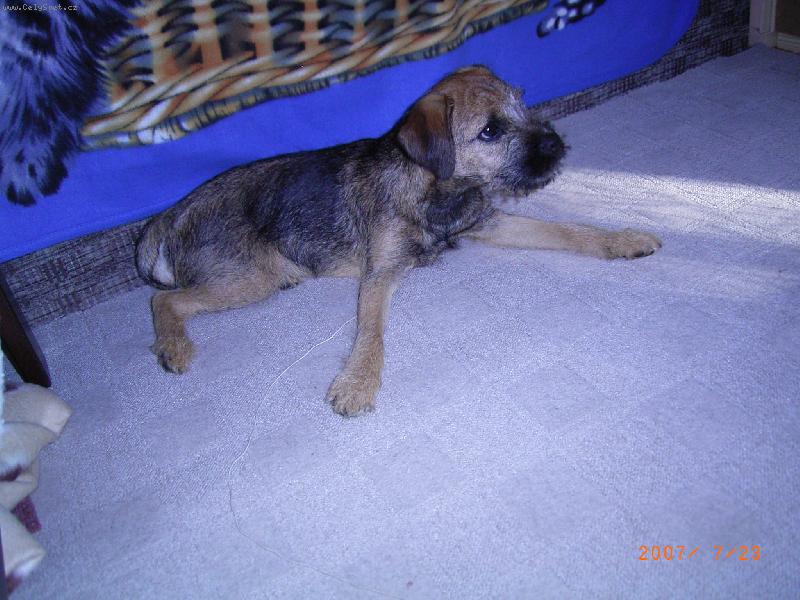 Foto: Argo