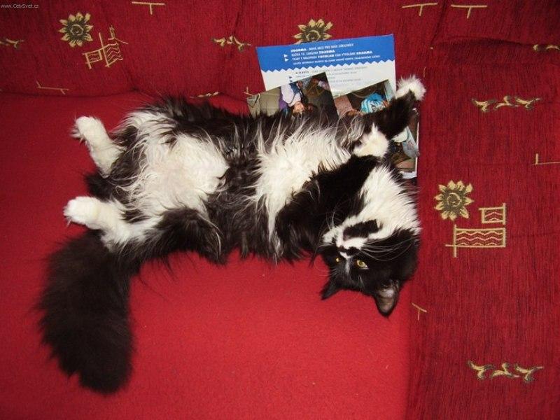 Foto: V�len�, to je moje :-)