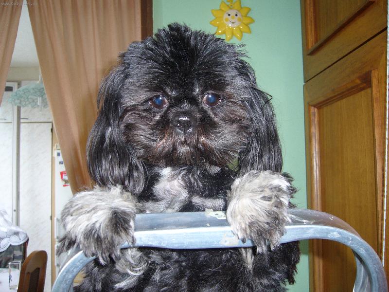 Foto: Lady