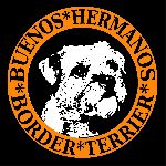 Chovatelska stanice psů: BUENOS HERMANOS