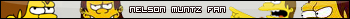 Vce userbar ke staen